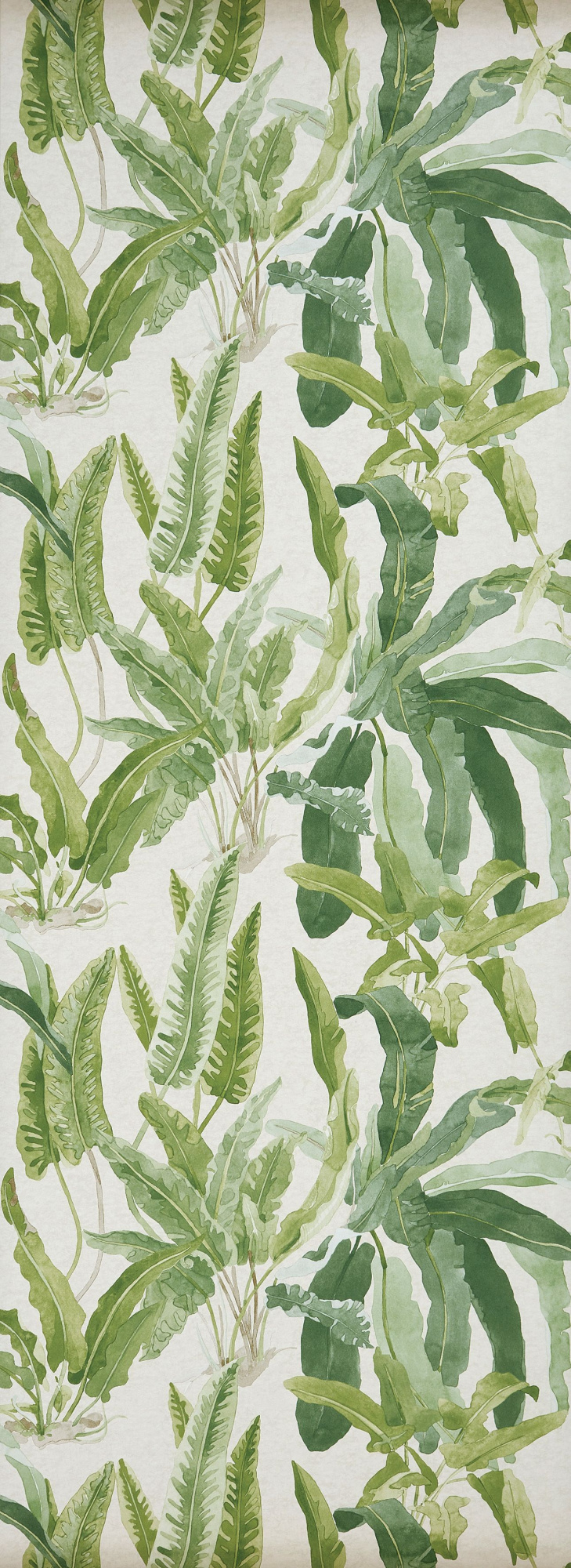 Обои Ashdown | ncw4393-02