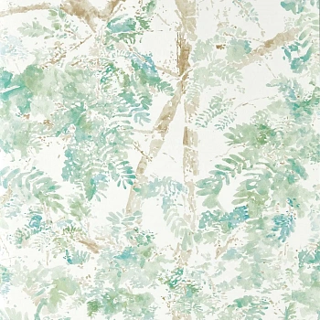 Обои Zamora | 113342