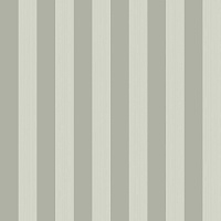 Обои Cole&Son Marquee Stripes 110-3014