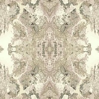 Обои YORK Candice Olson Botanical Dreams NA0596