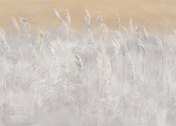 Обои Three | OP 0037-Br1