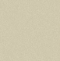 Обои Carl Robinson Carl Robinson Edition 17 CR83007