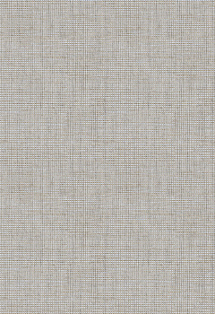 Обои AI | hed2083