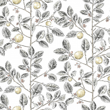 Обои Toiles Resource | RT7912