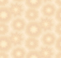 Обои Loymina Timeless TS1 003