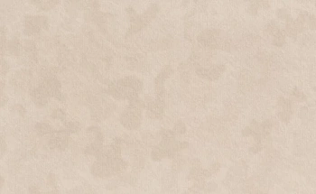 Обои Meteora | r24123