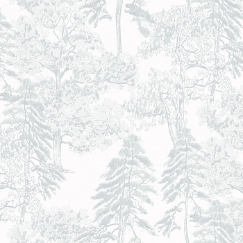 Обои Ambient 4 | Am5001_2