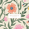 Коллекция: Rifle Paper Co 3