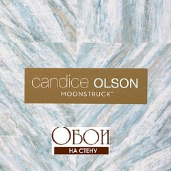 Каталог Candice Olson Moonstruck