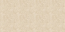 Обои Alessandro Allori Breeze RDT2204-12