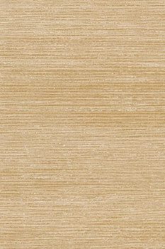 Обои Zephyr | 48654