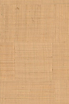 Обои Icarus| 15720