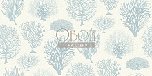 Обои Cole&Son Curio 107-2009