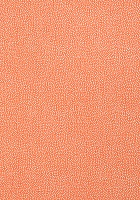 Обои Thibaut Paramount T2967