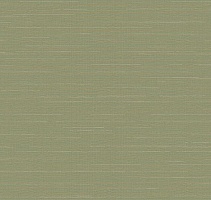 Обои Loymina Amazonia Ins9 005_1