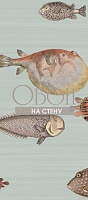 Обои Cole&Son Fornasetti 2 97-10030