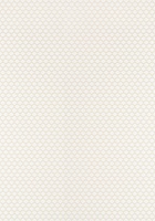 Обои Thibaut Dynasty T75504