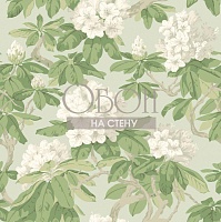 Обои Cole&Son Folie 99-4022