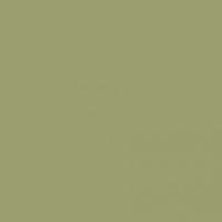 Краска Mylands StockwellGreen-No.-203