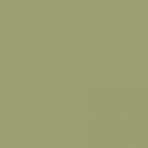 Краска Mylands | StockwellGreen-No.-203