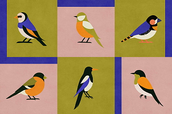 Обои Coco Davez | C00134