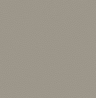 Обои Carl Robinson Carl Robinson Edition 17 CR83008