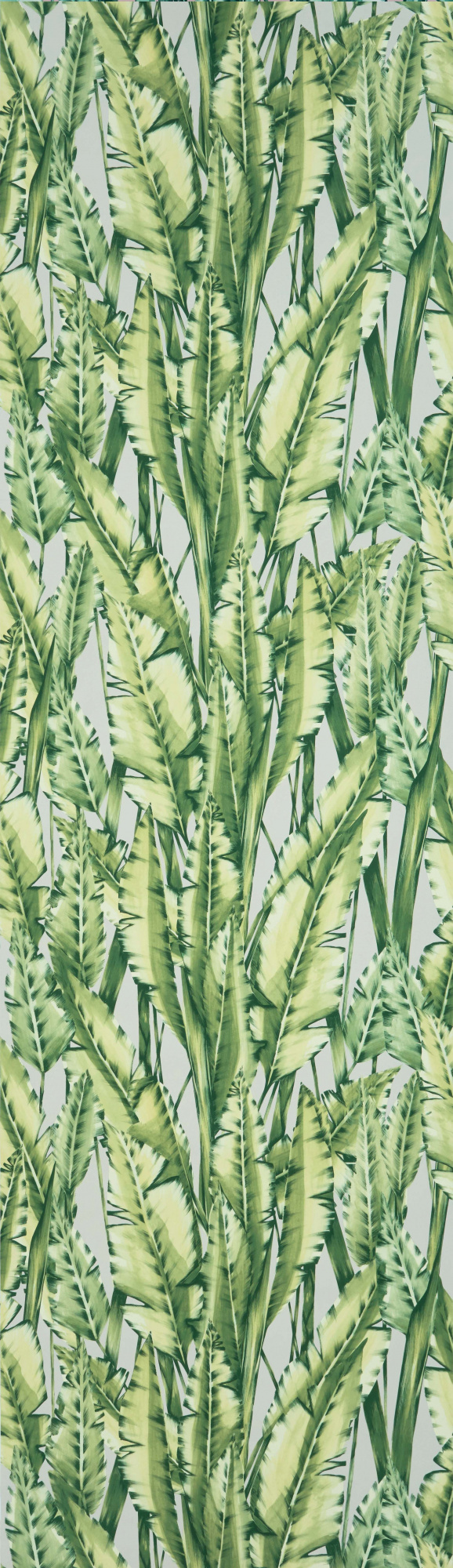 Обои Folium | w7333-02