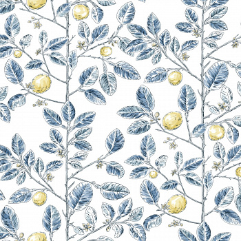 Обои Toiles Resource | RT7913