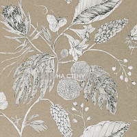 Обои Harlequin Palmetto 111222