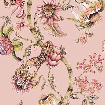 Обои Ardmore – Baobab | 129-6024