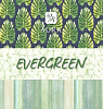 Коллекция: Evergreen