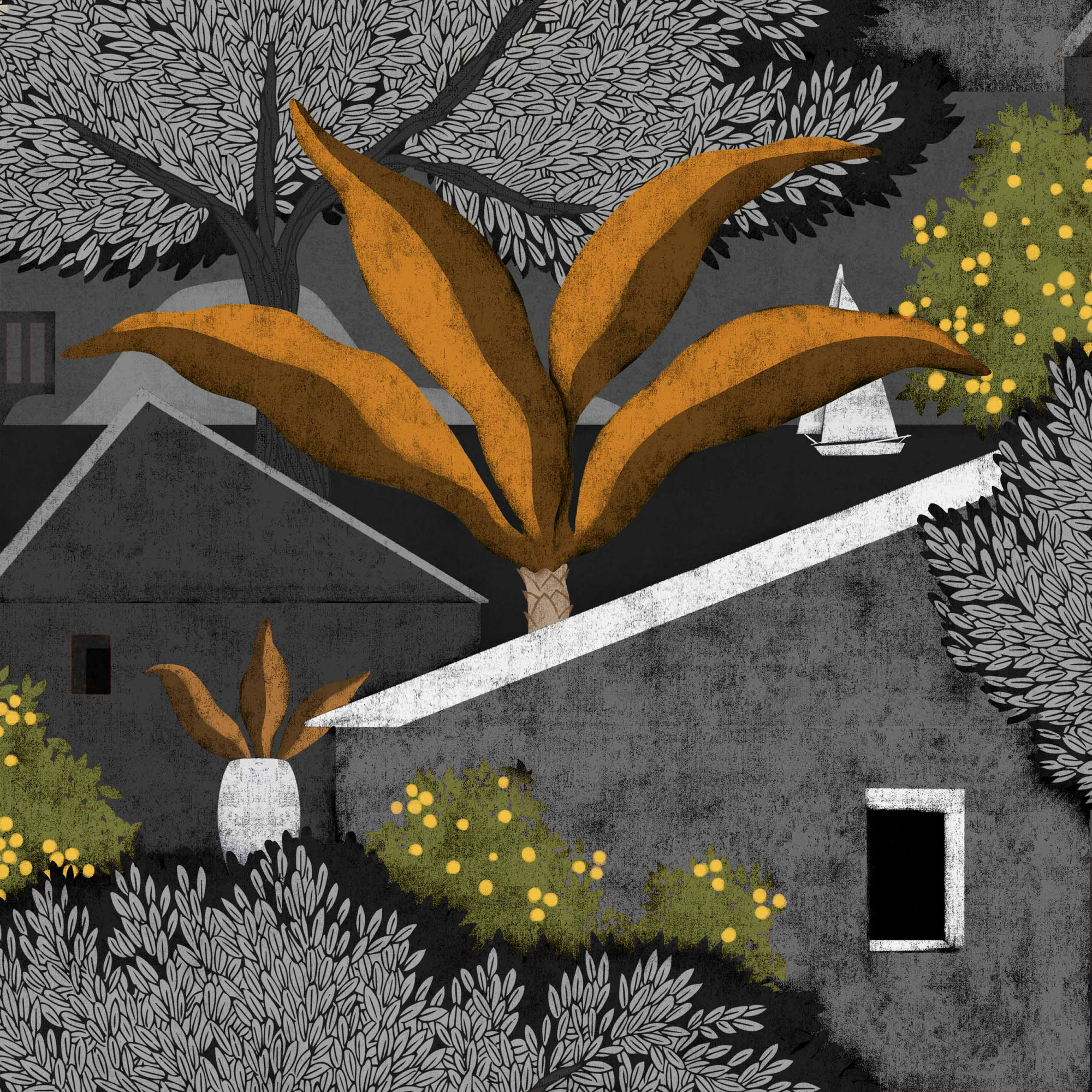 Обои Sarape | C00009