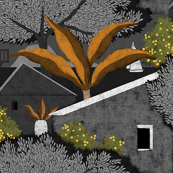 Обои Sarape | C00009