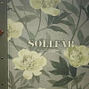 Коллекция: Solitar