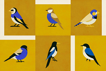 Обои Coco Davez | C00135