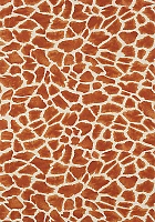 Обои Thibaut Colony T10221