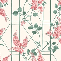 Обои Cole&Son Botanical Botanica 