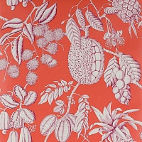 Обои Manuel Canovas Balangan 03106-02