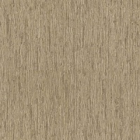 Обои Zambaiti Trussardi 5 z21822