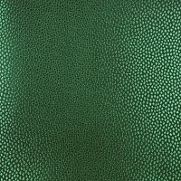 Обои Epoca Amazon River AR7007