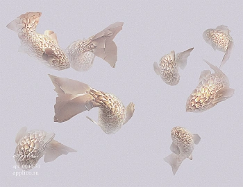 Обои Three | OP 0044-S1