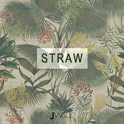 Каталог Straw