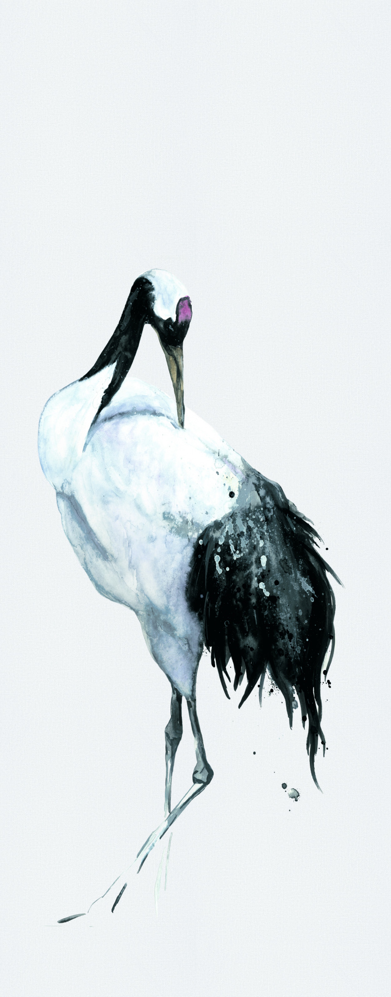 Обои Otaru | 34594