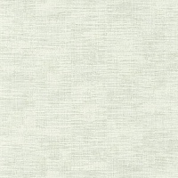 Обои Caselio Velvet 102847000