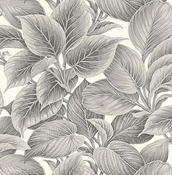 Обои Shades of White | ws70318