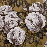 Обои Designers Guild Picture Book John Derian pjd6002-04