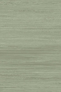 Обои Zephyr | 48659