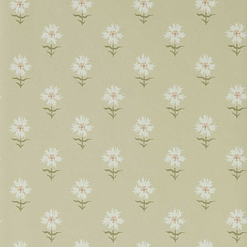 Обои Henry Holland | 113162