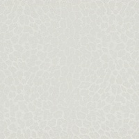 Обои Zambaiti Philipp Plein Z80041