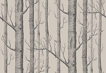 Обои Cole&Son Icons 112-3009